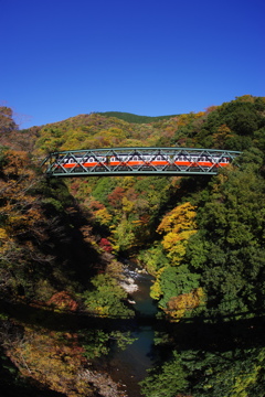 箱根登山鉄道と紅葉　②