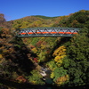 箱根登山鉄道と紅葉　②