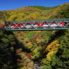 箱根登山鉄道と紅葉　①