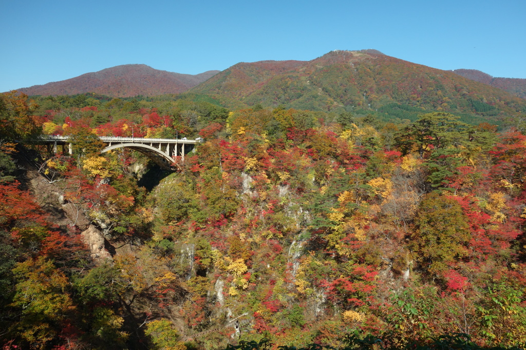 紅葉2014　宮城　鳴子峡　①