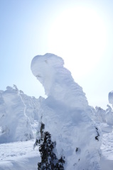 山形　蔵王　樹氷