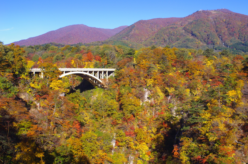 【2013紅葉】　宮城　鳴子峡　①