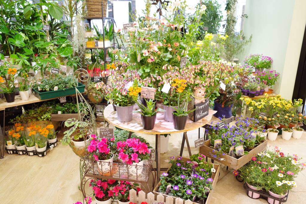 Flower shop