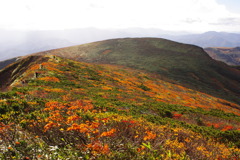 栗駒山　紅葉　2012　②