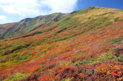 2014紅葉　宮城 　栗駒山　②