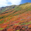 2014紅葉　宮城 　栗駒山　②