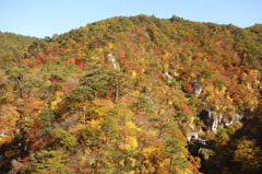 【2013紅葉】　宮城　鳴子峡と列車　④