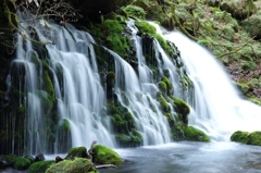秋田県にかほ市　元滝伏流水_10