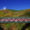 箱根登山鉄道と紅葉　③