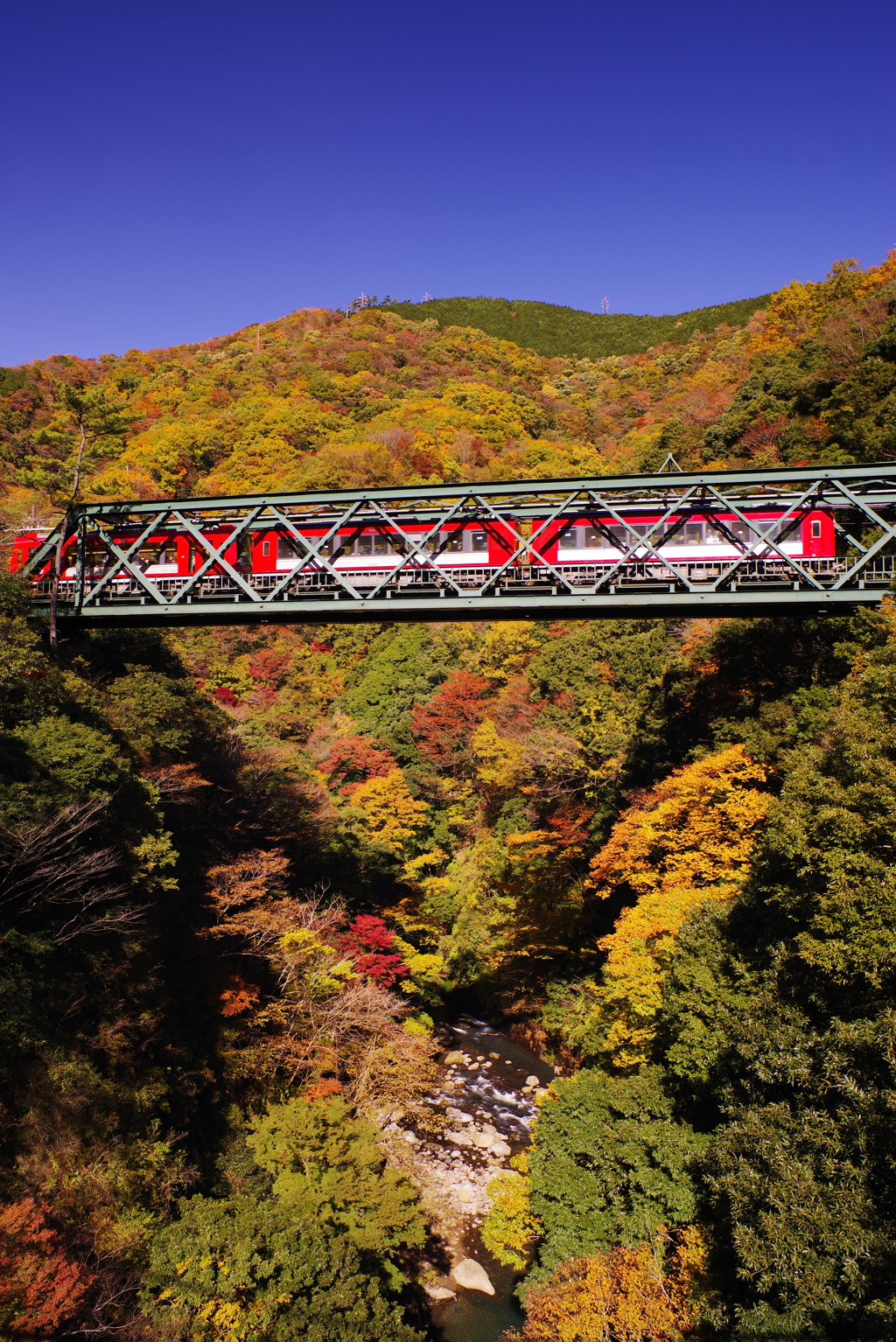 箱根登山鉄道と紅葉　⑤