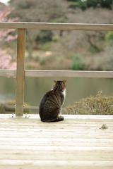 何思う