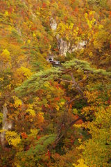 宮城　鳴子峡　紅葉　2012