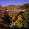 箱根登山鉄道と紅葉　⑥