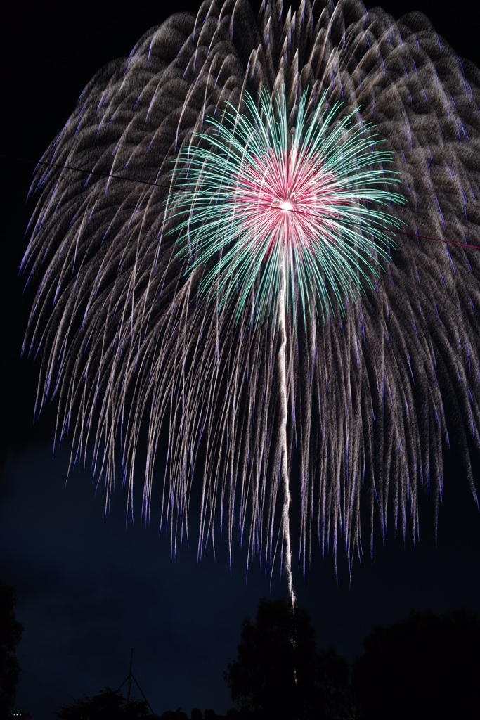 第60回いたばし花火大会 その１