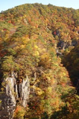 【2013紅葉】　宮城　鳴子峡と列車　③