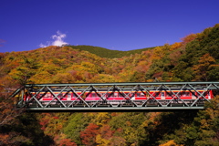 箱根登山鉄道と紅葉　⑧