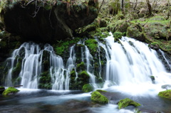秋田県にかほ市　元滝伏流水_8
