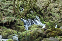秋田県にかほ市　元滝伏流水_11