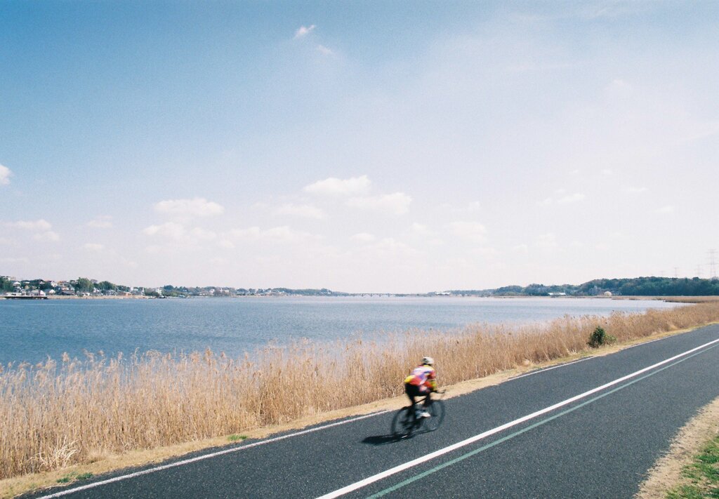 自転車日和