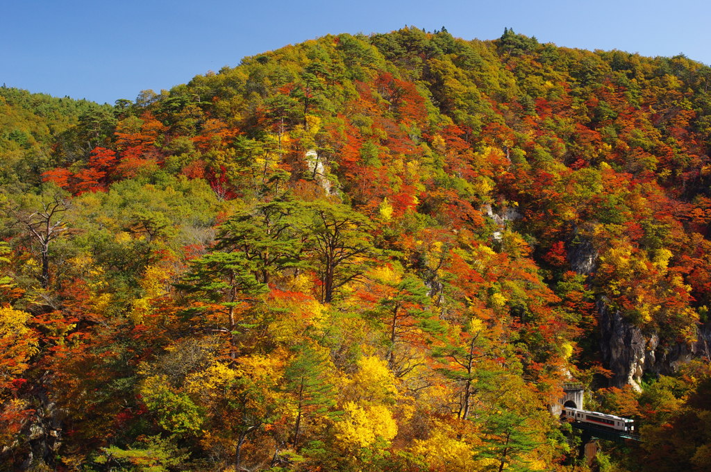 紅葉2014　宮城　鳴子峡　④