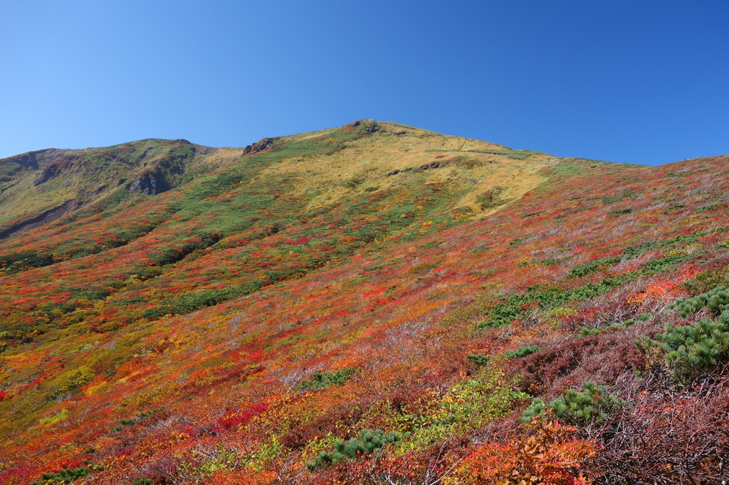 2014紅葉　宮城 　栗駒山　③