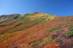 2014紅葉　宮城 　栗駒山　③
