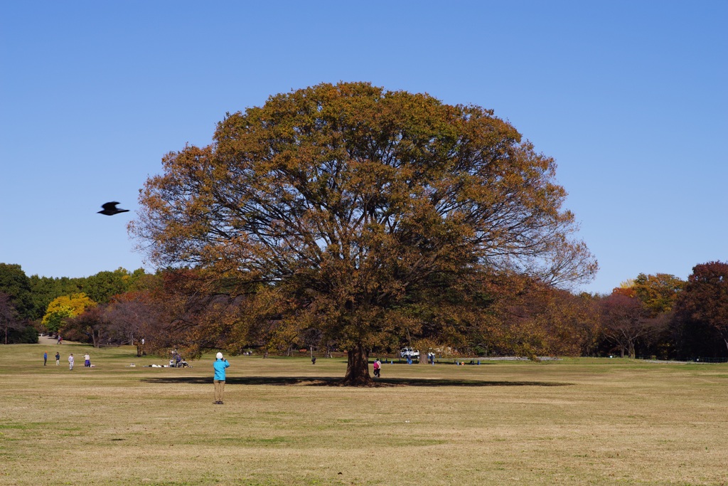 広場