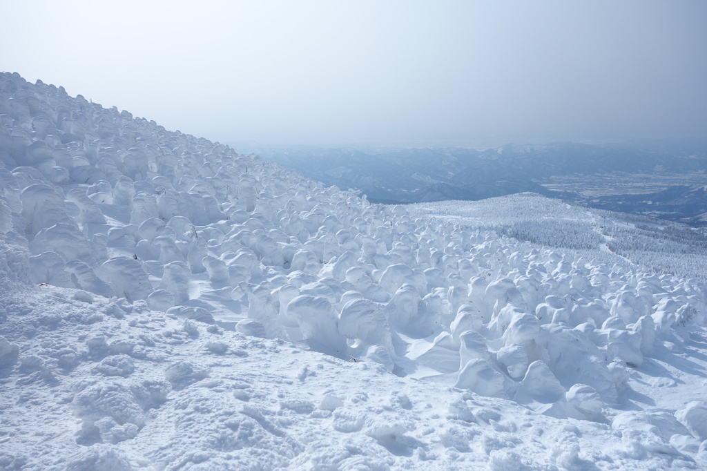 山形県　蔵王　樹氷　④