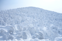 山形県　蔵王　樹氷　①