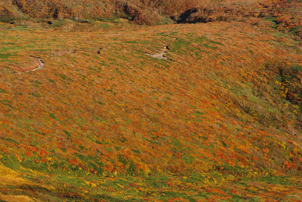 栗駒山　紅葉　2012　⑦