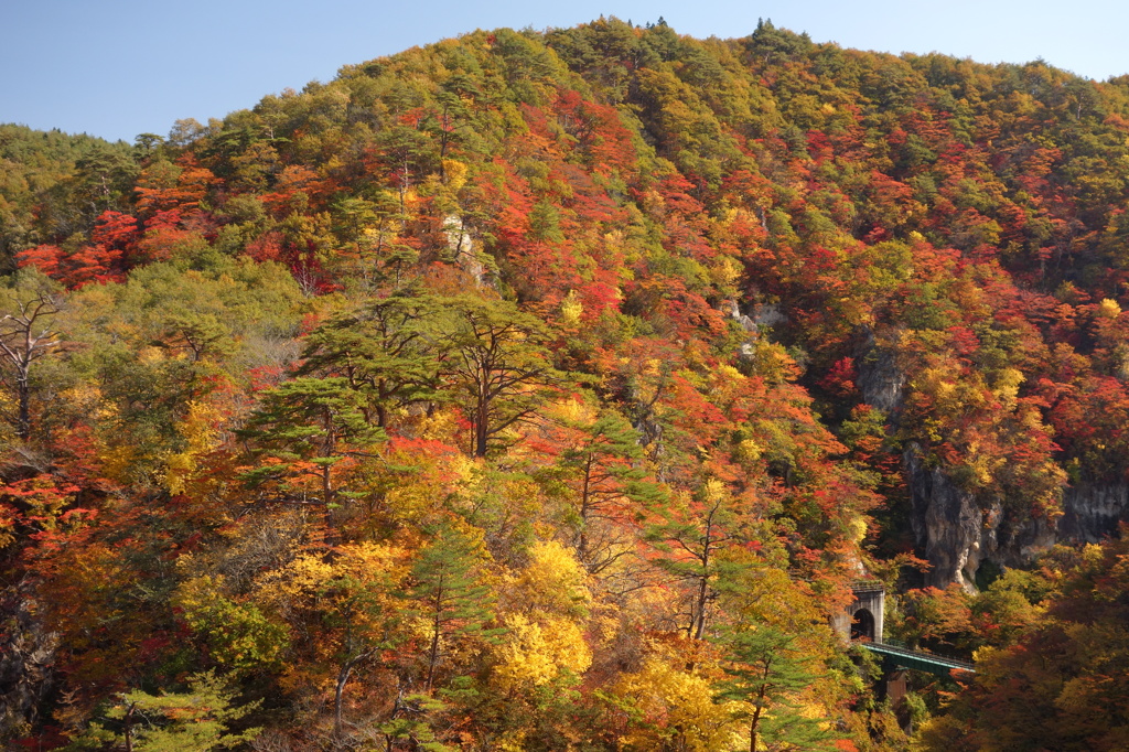 紅葉2014　宮城　鳴子峡　②