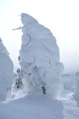 山形県　蔵王　アイスモンスター　③