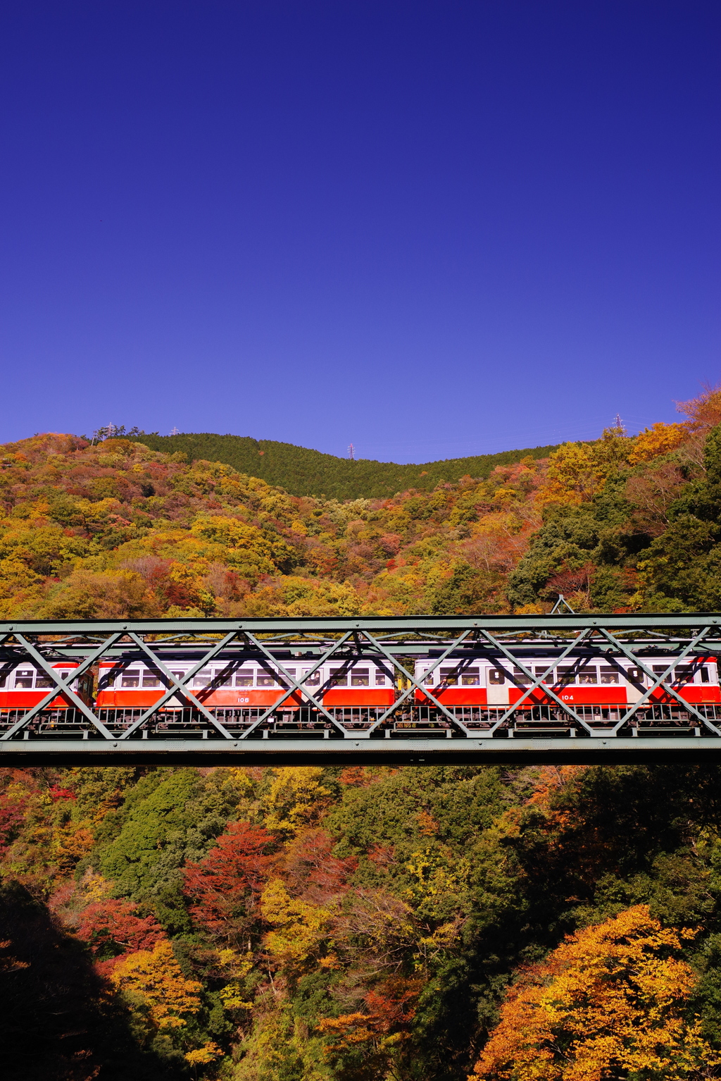 箱根登山鉄道と紅葉　⑦