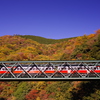 箱根登山鉄道と紅葉　⑦