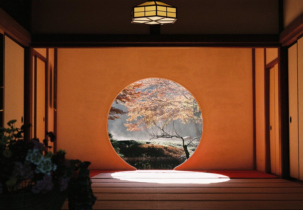 悟る
