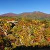 紅葉2014　宮城　鳴子峡　①