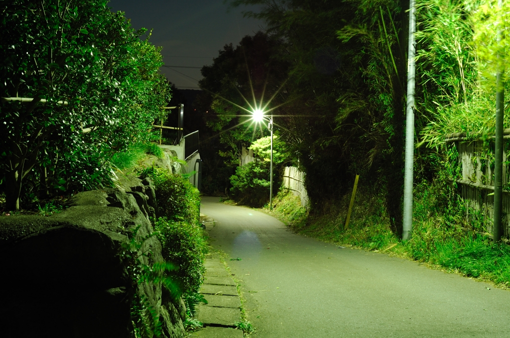 夜の坂道
