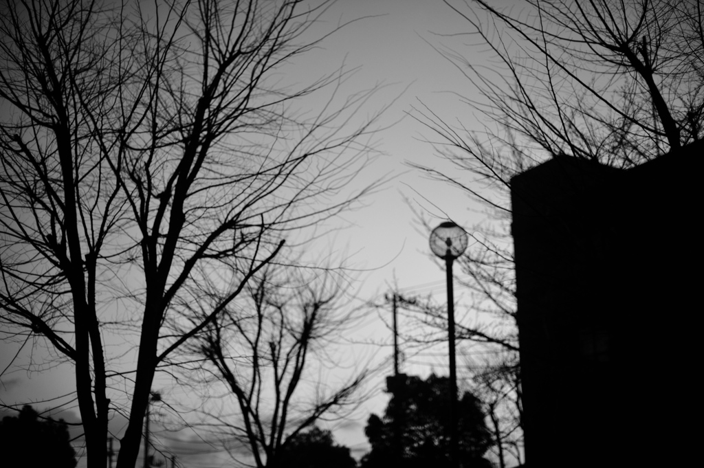 photo106378