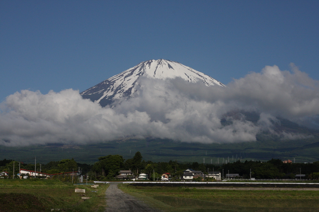 夏に向う富士山