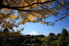 富士山のある風景