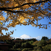 富士山のある風景