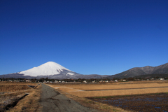 富士山のある風景