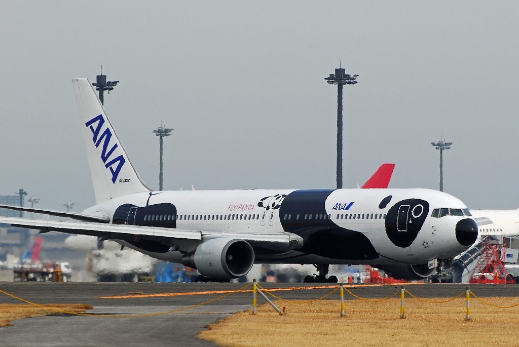 Fly Panda (B767)