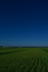 夏の空