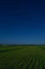 夏の空