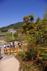 IMGP4496花くるりん
