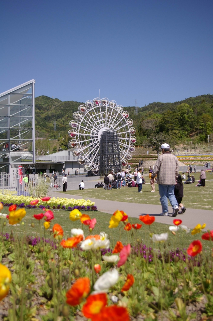 IMGP4490花くるりん