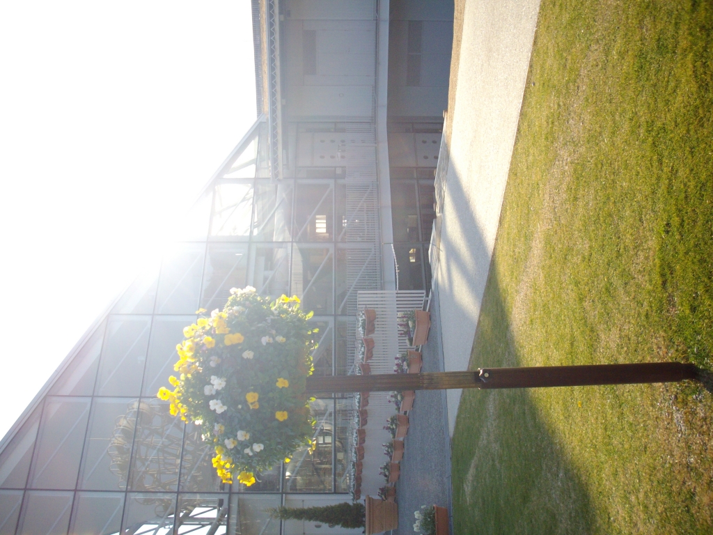IMGP0344
