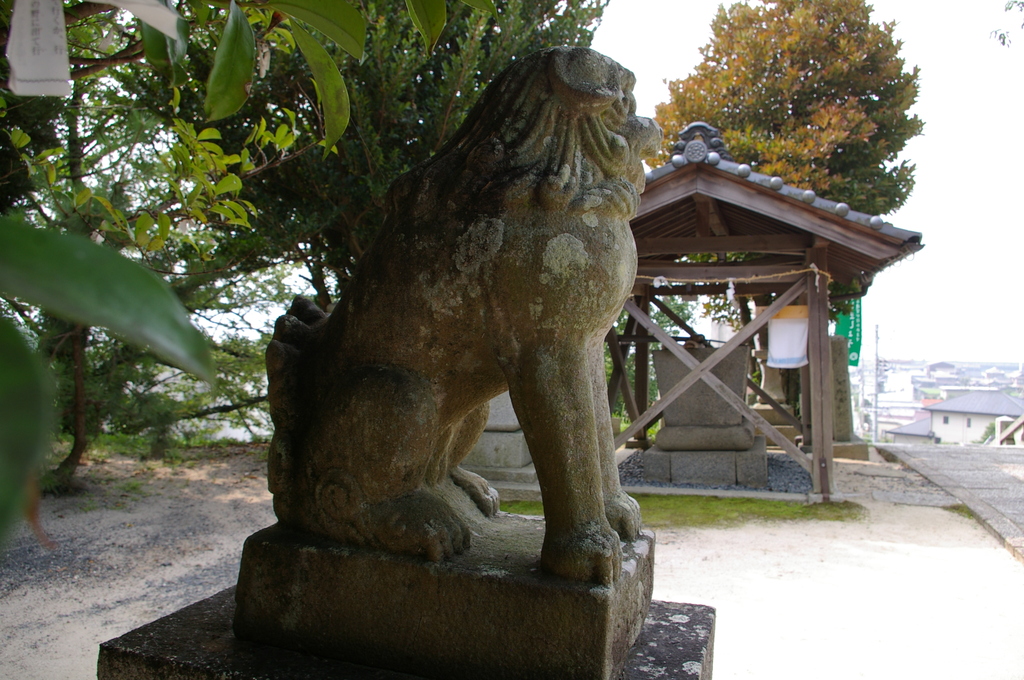 IMGP2578松戸八幡宮