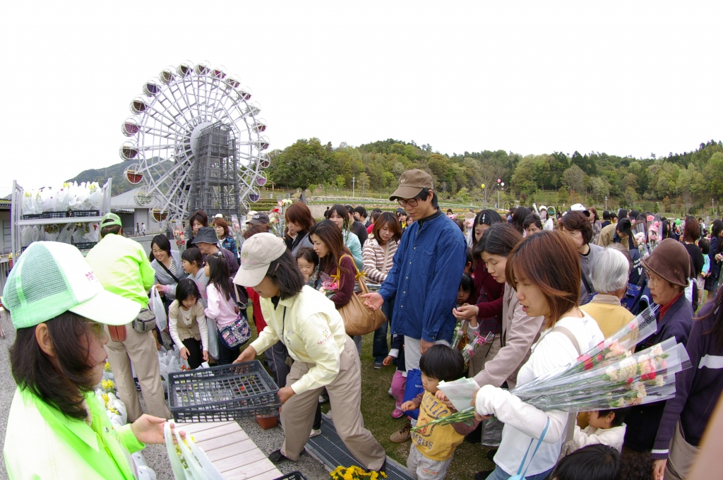 IMGP1290